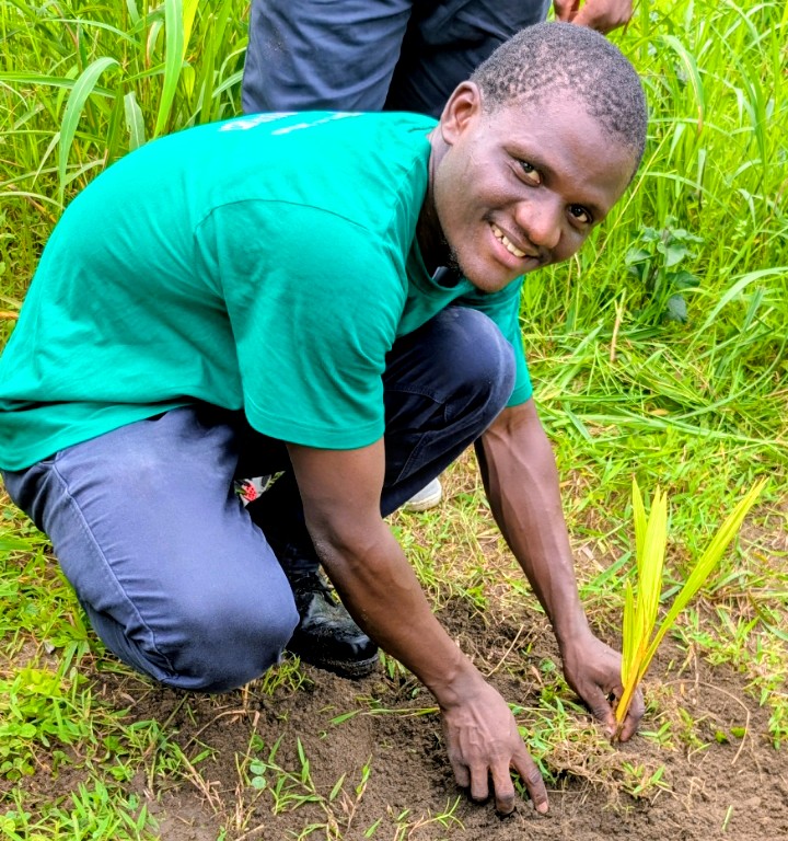 Tree planting